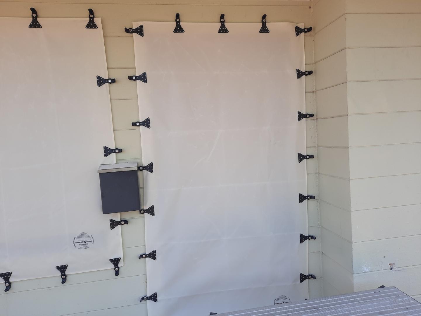 Ruth D. Ambrioso (8)