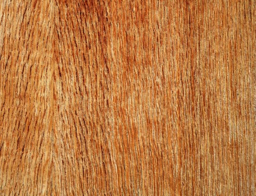 5 Alternatives To Plywood For Hurricane Season