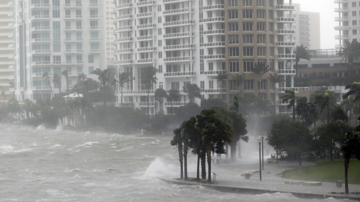 Hurricane Protection Florida Laws