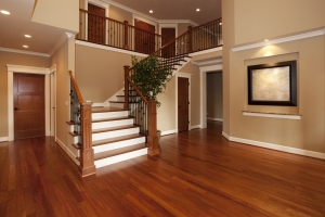 Best House Painters in St Pete Best House Painters in St Pete