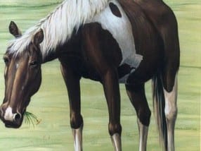 Faux Painting of Horse