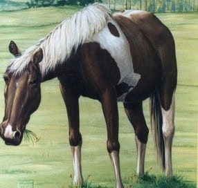 Faux Painting of Horse